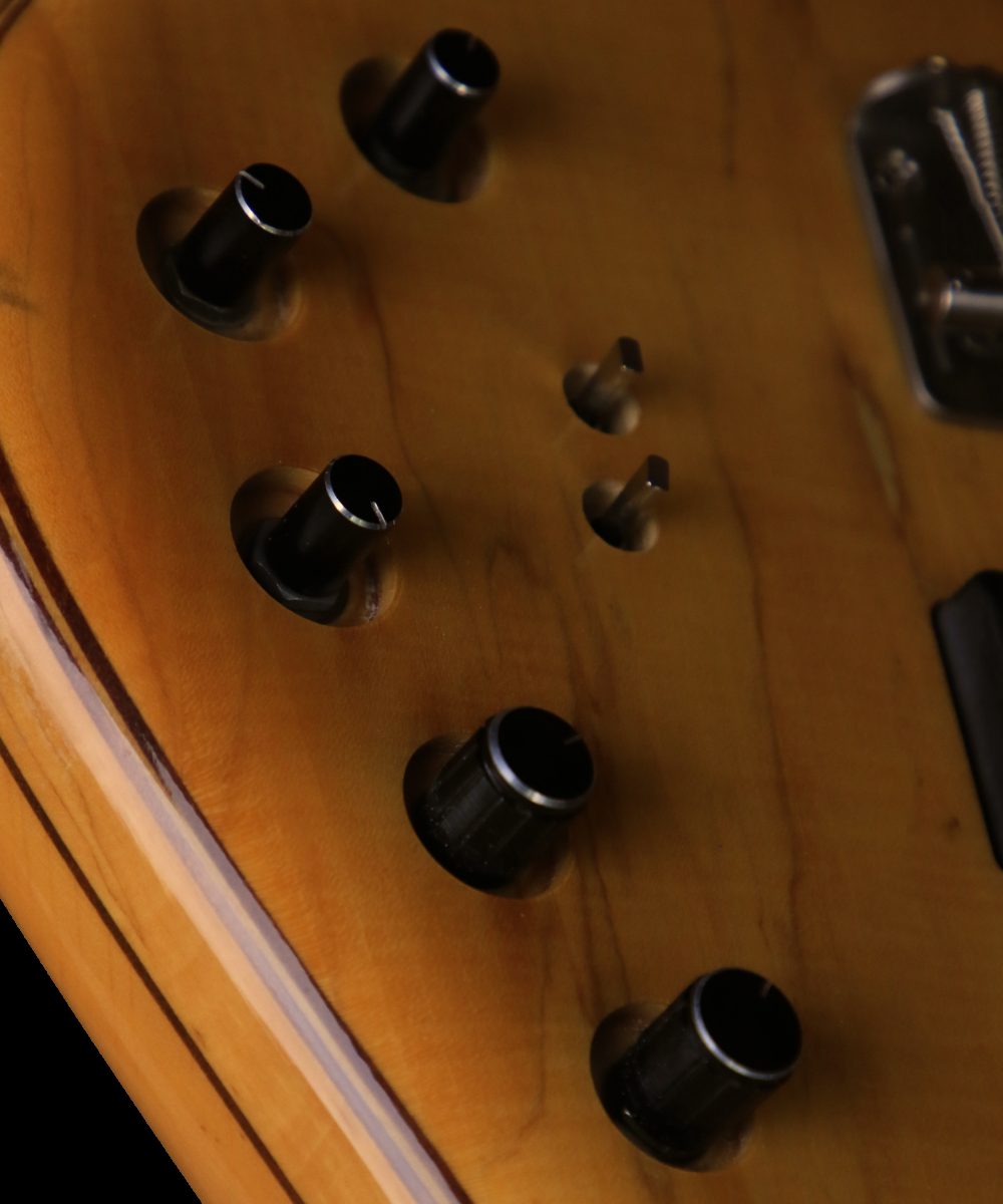 NEXUS Custom Jacek HH 4 Bass photo 7